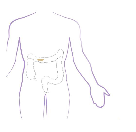 Digestive system part two